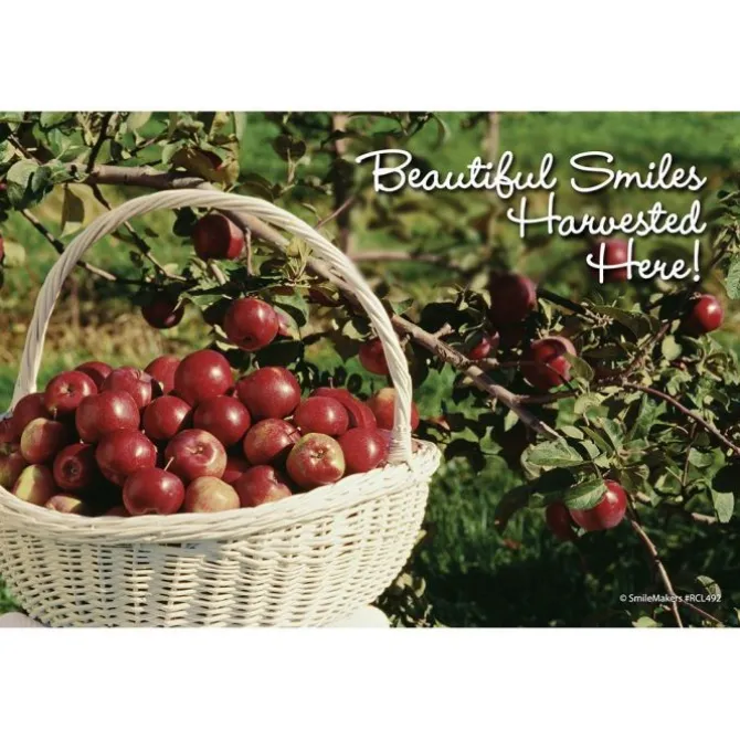 Apple Harvest Recall Cards