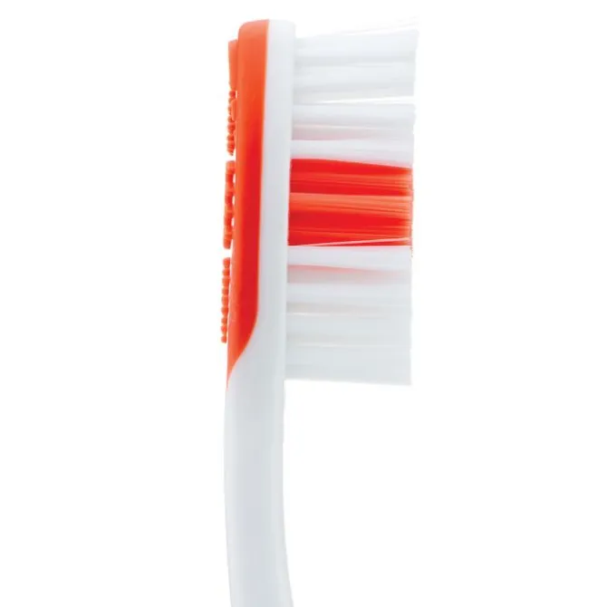 Custom SmileCare™ Adult Proper Care Toothbrushes