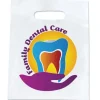 Custom 9" x 13" Full Color Take Home Bags