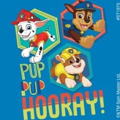 PAW Patrol Good Vibes Stickers