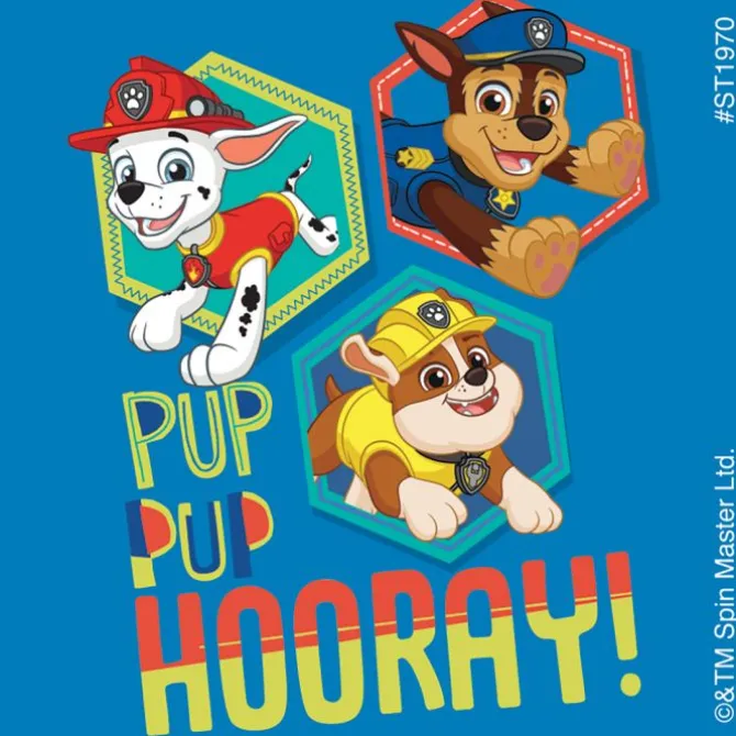 PAW Patrol Good Vibes Stickers