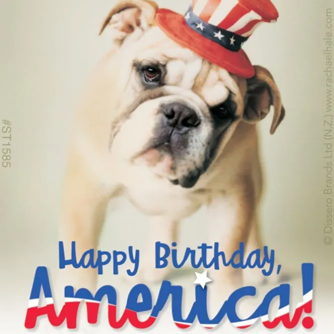 Rachael Hale Patriotic Stickers
