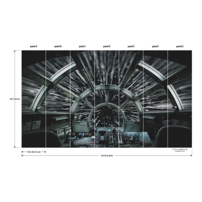 Star Wars Millennium Falcon Wall Mural